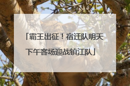 霸王出征！宿迁队明天下午客场迎战镇江队