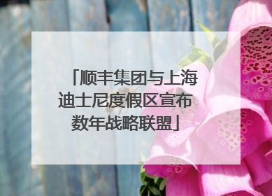 顺丰集团与上海迪士尼度假区宣布数年战略联盟