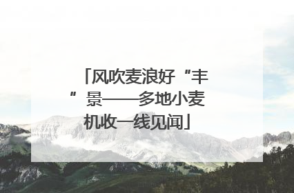 风吹麦浪好“丰”景——多地小麦机收一线见闻