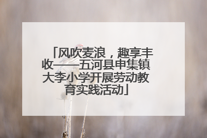 风吹麦浪，趣享丰收——五河县申集镇大李小学开展劳动教育实践活动