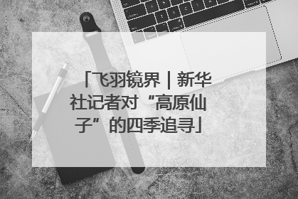 飞羽镜界｜新华社记者对“高原仙子”的四季追寻