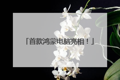 首款鸿蒙电脑亮相！