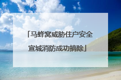 马蜂窝威胁住户安全 宣城消防成功摘除