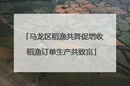 马龙区稻渔共舞促增收 稻渔订单生产共致富