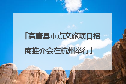 高唐县重点文旅项目招商推介会在杭州举行