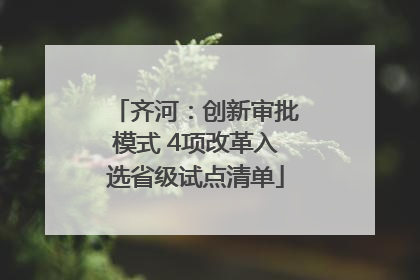 齐河：创新审批模式 4项改革入选省级试点清单