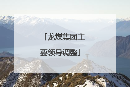 龙煤集团主要领导调整