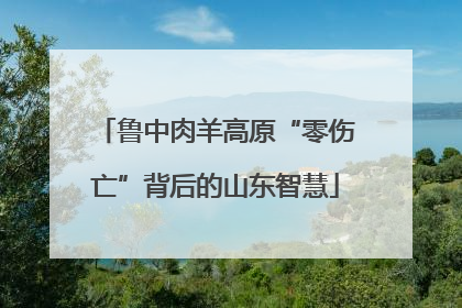 鲁中肉羊高原“零伤亡”背后的山东智慧