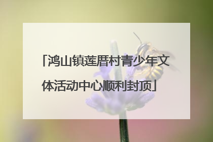 鸿山镇莲厝村青少年文体活动中心顺利封顶