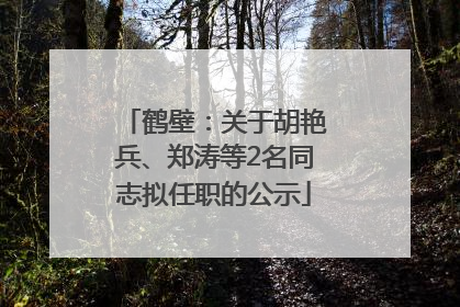 鹤壁：关于胡艳兵、郑涛等2名同志拟任职的公示