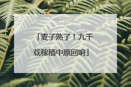 麦子熟了！九千载稼穑中原回响