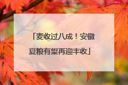 麦收过八成！安徽夏粮有望再迎丰收