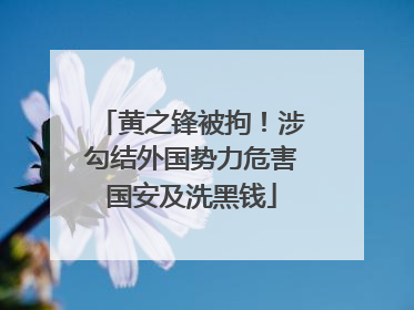 黄之锋被拘！涉勾结外国势力危害国安及洗黑钱