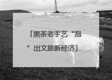 黑茶老手艺“泡”出文旅新经济