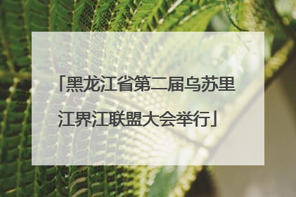 黑龙江省第二届乌苏里江界江联盟大会举行