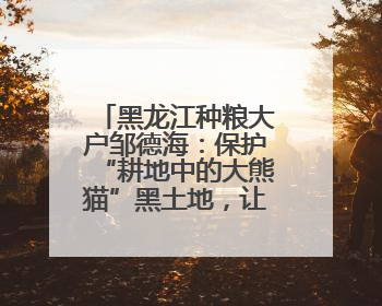 黑龙江种粮大户邹德海：保护“耕地中的大熊猫”黑土地，让增产可持续