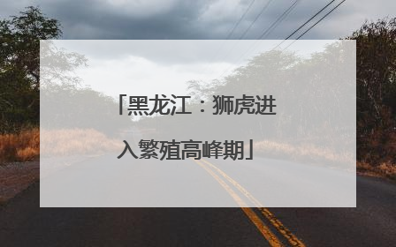 黑龙江：狮虎进入繁殖高峰期