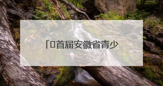 ﻿首届安徽省青少年足球联赛将于9月开赛 拟邀请赵鹏为先导赛开球