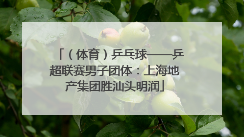 （体育）乒乓球——乒超联赛男子团体：上海地产集团胜汕头明润