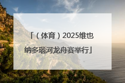 （体育）2025维也纳多瑙河龙舟赛举行
