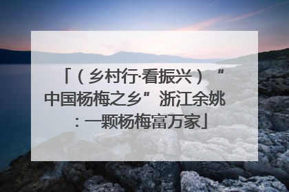 （乡村行·看振兴）“中国杨梅之乡”浙江余姚：一颗杨梅富万家