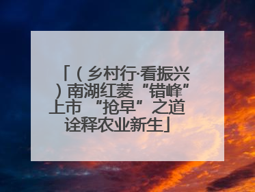 （乡村行·看振兴）南湖红菱“错峰”上市 “抢早”之道诠释农业新生