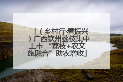 （乡村行·看振兴）广西钦州荔枝集中上市 “荔枝+农文旅融合”助农增收