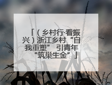 （乡村行·看振兴）浙江乡村“自我重塑” 引青年“筑巢生金”