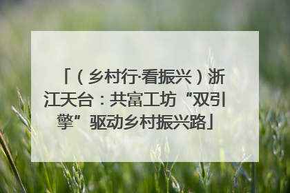 （乡村行·看振兴）浙江天台：共富工坊“双引擎”驱动乡村振兴路