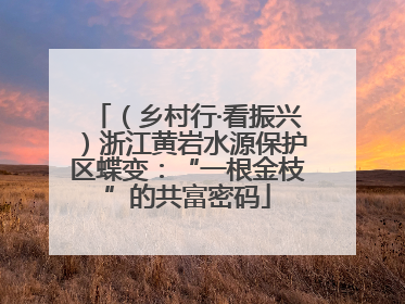 （乡村行·看振兴）浙江黄岩水源保护区蝶变：“一根金枝”的共富密码