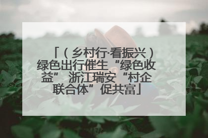 （乡村行·看振兴）绿色出行催生“绿色收益” 浙江瑞安“村企联合体”促共富