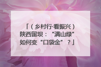 （乡村行·看振兴）陕西留坝：“满山绿”如何变“口袋金”？