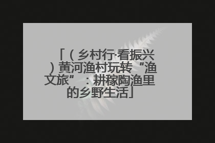 （乡村行·看振兴）黄河渔村玩转“渔文旅”：耕稼陶渔里的乡野生活