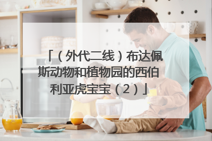 （外代二线）布达佩斯动物和植物园的西伯利亚虎宝宝（2）