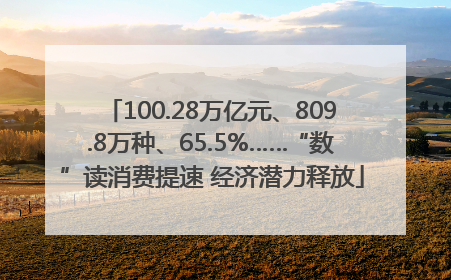 100.28万亿元、809.8万种、65.5%……“数”读消费提速 经济潜力释放