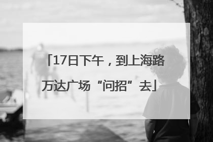 17日下午，到上海路万达广场“问招”去