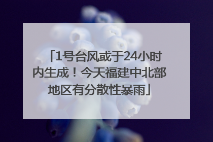 1号台风或于24小时内生成！今天福建中北部地区有分散性暴雨