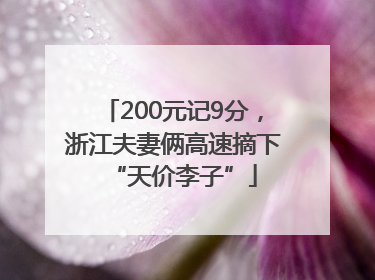 200元记9分，浙江夫妻俩高速摘下“天价李子”