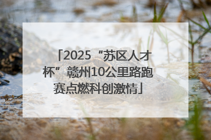 2025“苏区人才杯”赣州10公里路跑赛点燃科创激情