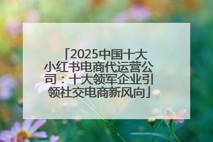 2025中国十大小红书电商代运营公司：十大领军企业引领社交电商新风向