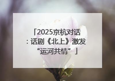 2025京杭对话：话剧《北上》激发“运河共情”