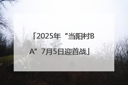 2025年“当阳村BA”7月5日迎首战