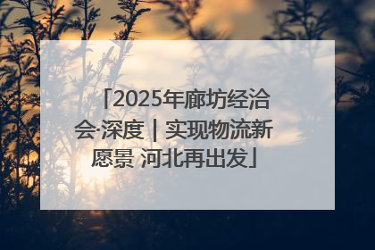 2025年廊坊经洽会·深度｜实现物流新愿景 河北再出发