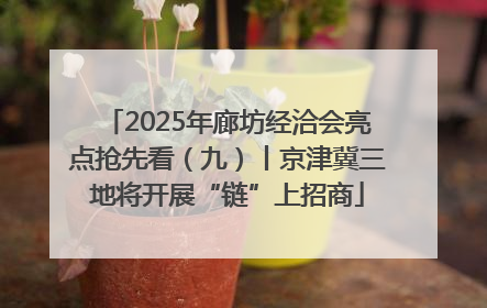 2025年廊坊经洽会亮点抢先看（九）丨京津冀三地将开展“链”上招商