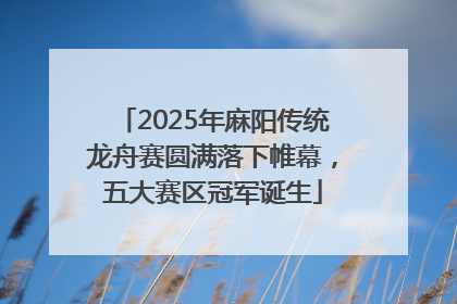 2025年麻阳传统龙舟赛圆满落下帷幕，五大赛区冠军诞生