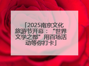 2025南京文化旅游节开幕：“世界文学之都”用百场活动等你打卡