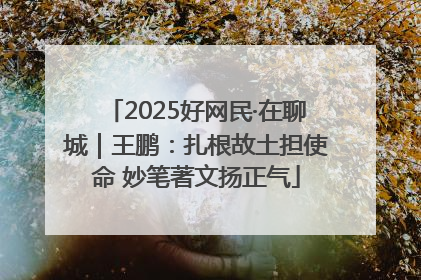 2025好网民·在聊城｜王鹏：扎根故土担使命 妙笔著文扬正气