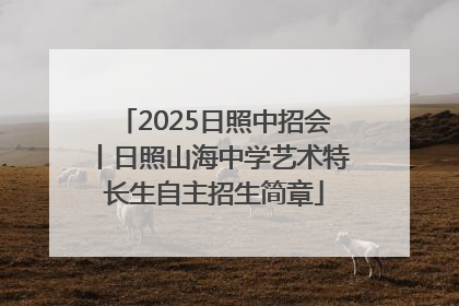 2025日照中招会丨日照山海中学艺术特长生自主招生简章