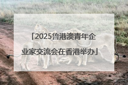 2025鲁港澳青年企业家交流会在香港举办