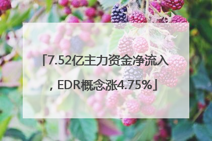 7.52亿主力资金净流入，EDR概念涨4.75%